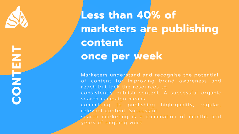 seo vsebine statistika